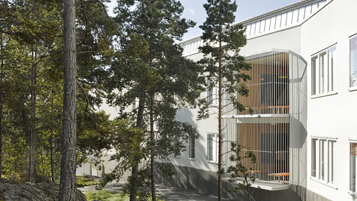 Концепция экологичного развития Ленточного Бора г. Барнаула