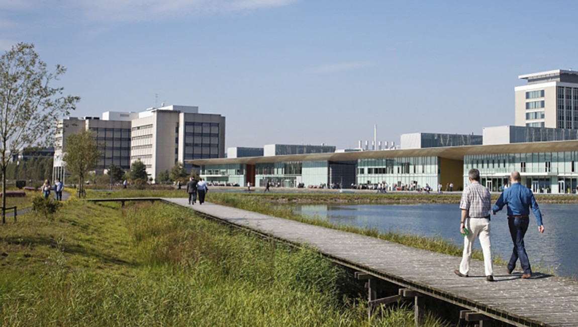 Исследование развития левого берега города Томска.